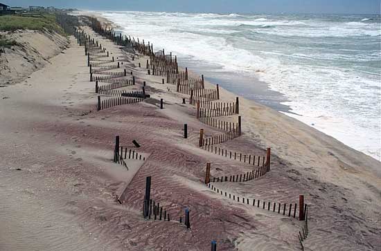 Fire Island beach picture