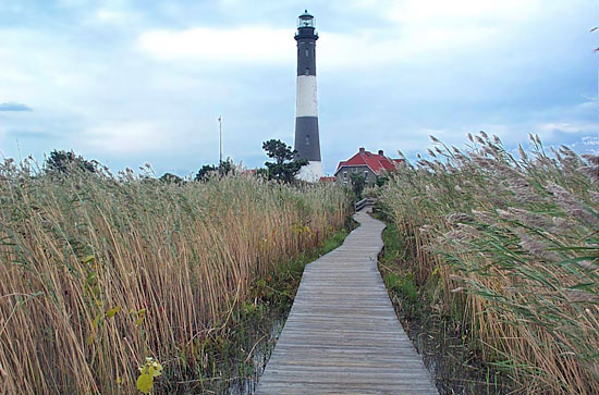 Picture of Fire Island Lighthouse