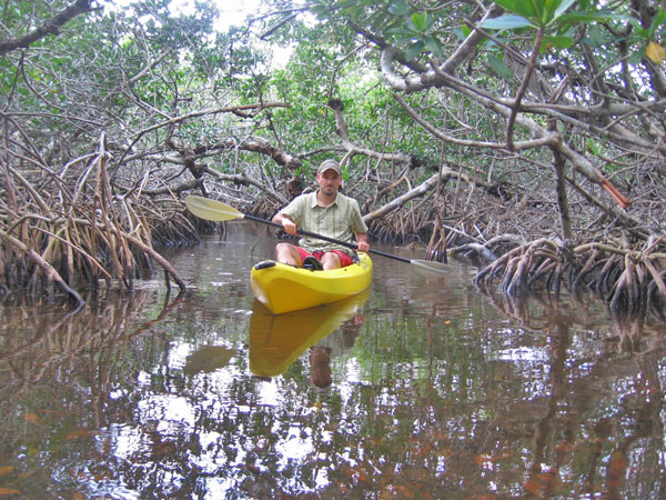 Kayaking in a tunnel-like section off the Gulf of Mexico.